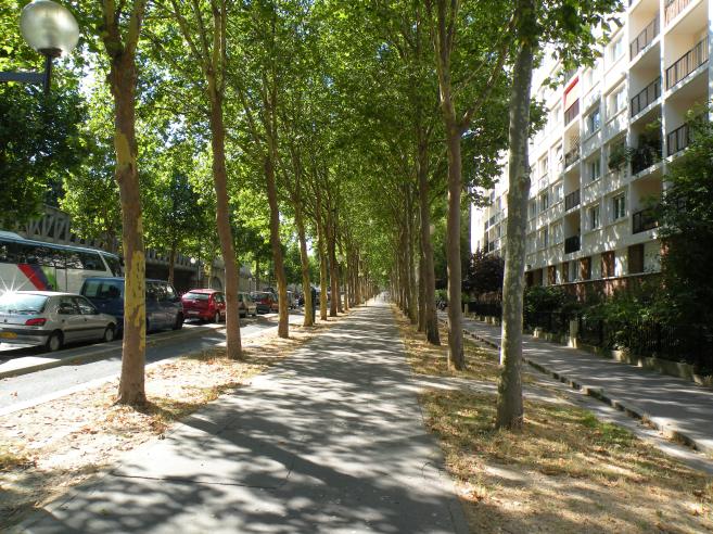  trottoir ombragé, bd Saint-Jacques, 14e